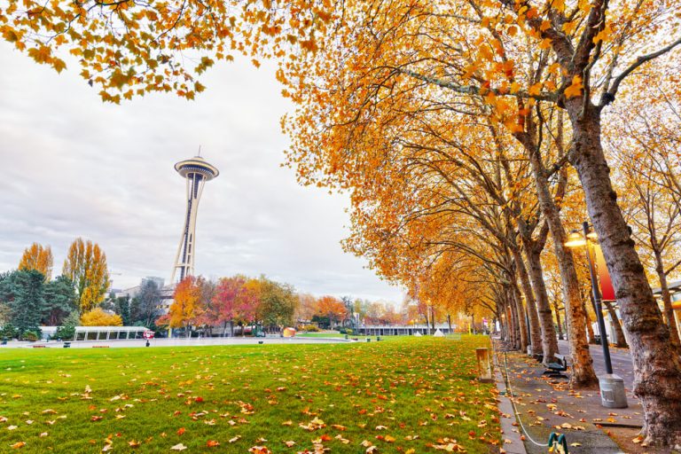From the Space Needle to Hat and Boots: 15 Must-Visit Instagram Spots in Seattle