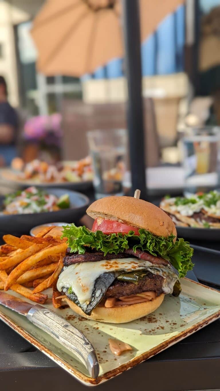 Burger at Terraza