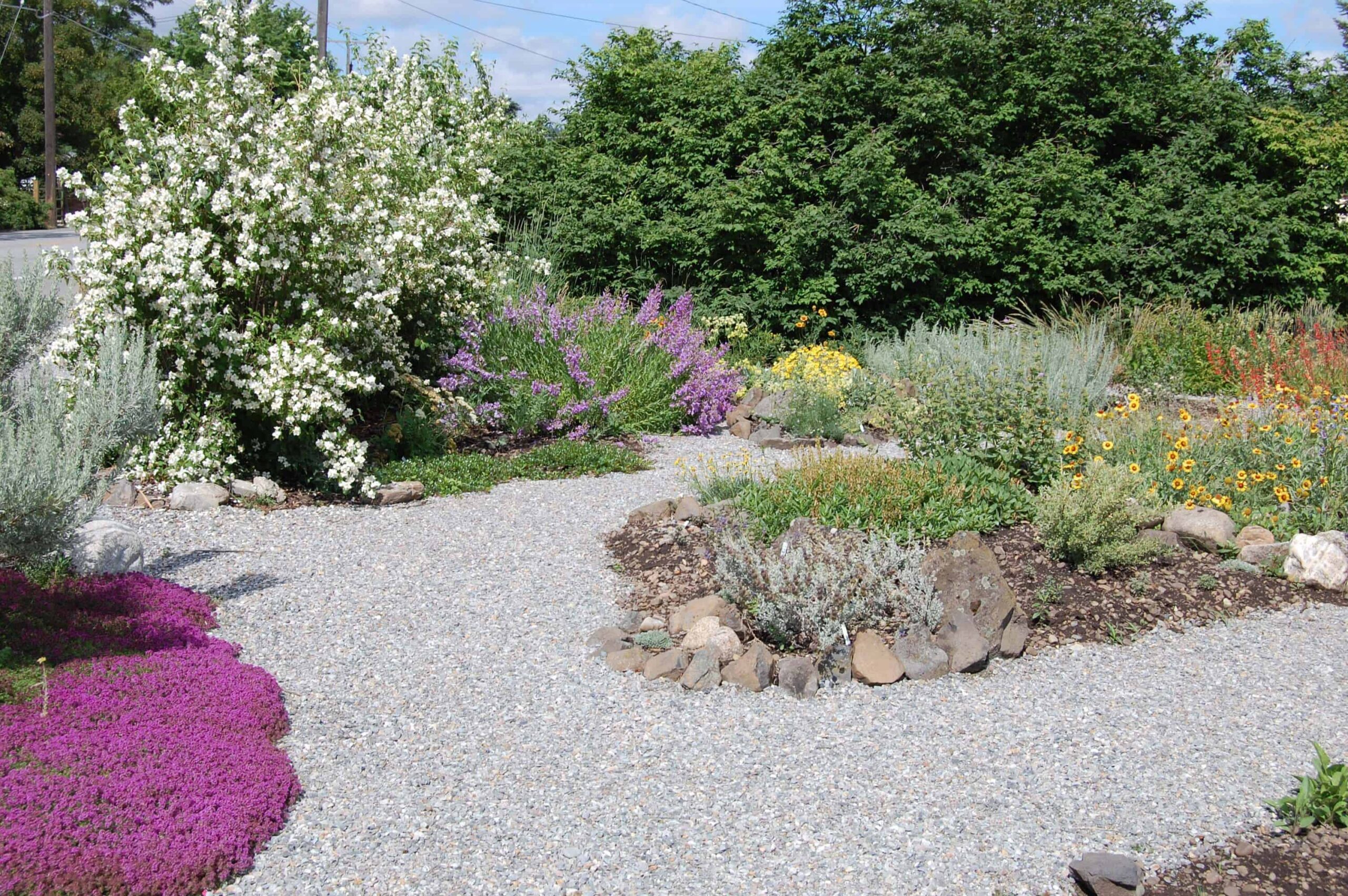 gardening centers in Spokane - Desert Jewels Nursery