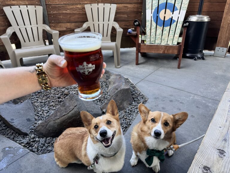 Best Dog Friendly Patios in Spokane WA