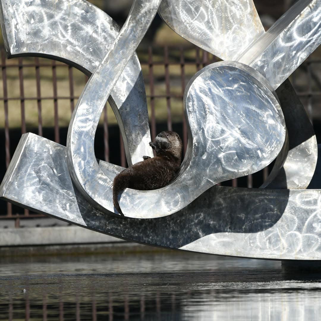 Free Things to Do in Spokane - Balazs Sculpture