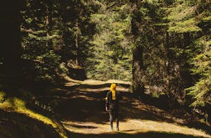 Person walking alone on a sunlit forest path in France, highlighting solitude and nature's beauty.